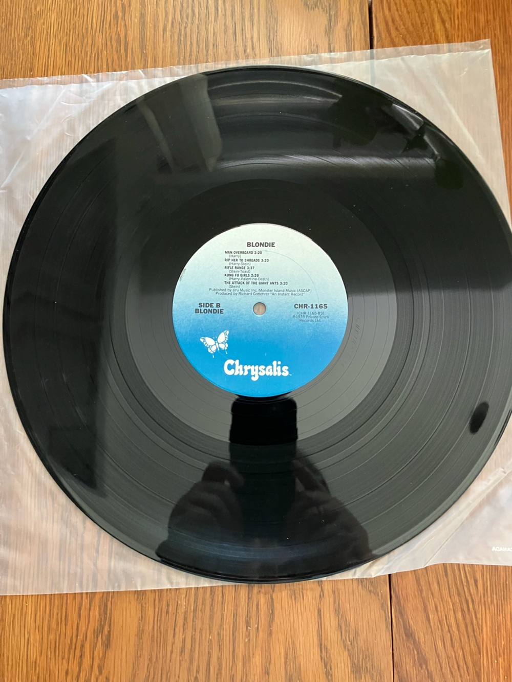 Vintage 1977 Blondie “Blondie” Debut Album Chrysalis Reissue CHR-1165 - Picture 4 of 8